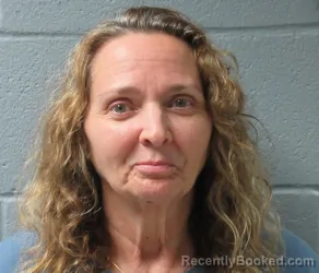 Mugshot of DIANE MARIE MCGINN booked in Huron County, Ohio on July 14, 2026