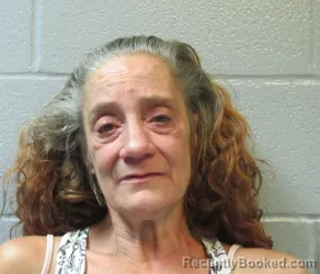 Mugshot of KAREN MARIE FLEMING booked in Huron County, Ohio on July 14, 2026