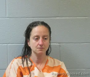 Mugshot of Heather Ann Mosley booked in Huron County, Ohio on August 19, 2026