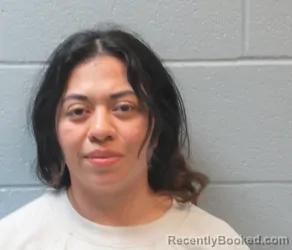 Mugshot of Deisy Hernandez - Oseguera booked in Huron County, Ohio on August 28, 2026