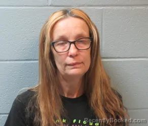 Mugshot of Teri Charmaine Coppler booked in Huron County, Ohio on September 16, 2026