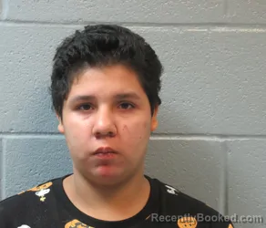 Mugshot of Maricela Angelica Lugo booked in Huron County, Ohio on October 7, 2026
