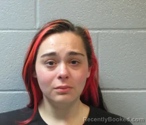 Mugshot of Cheyenne Renee Kramer booked in Huron County, Ohio on October 23, 2026