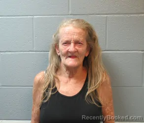Mugshot of Elizabeth Rebecca Petty booked in Huron County, Ohio on October 23, 2026