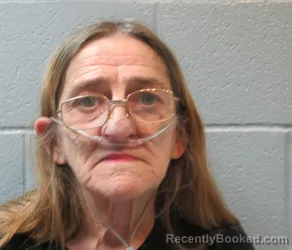 Mugshot of Caroline Ann Brant booked in Huron County, Ohio on September 9, 2026