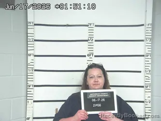 Mugshot of MELISSA DENNIS booked in Jefferson County, Ohio on June 17, 2026