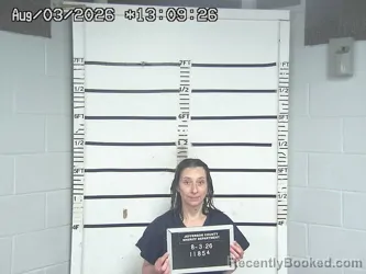 Mugshot of MELANIE LAYMAN booked in Jefferson County, Ohio on August 3, 2026
