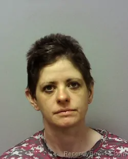 Mugshot of Tamara Marie Brady booked in Lake County, Ohio on October 24, 2026