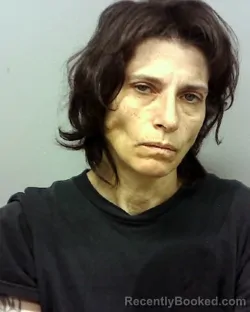 Mugshot of CRYSTAL LUV WAY booked in Lake County, Ohio on March 31, 2026