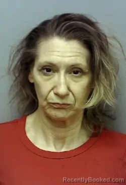 Mugshot of KRISTIE MARIE CLINGERMAN booked in Lake County, Ohio on May 14, 2026