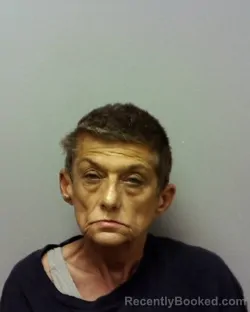 Mugshot of Rhonda Lynn Nemeth booked in Lake County, Ohio on September 8, 2026