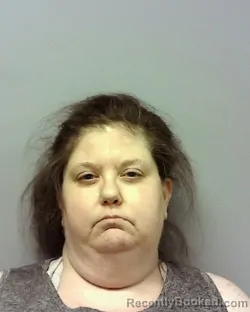 Mugshot of SHANNON LISA MOOK booked in Lake County, Ohio on July 2, 2026