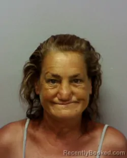 Mugshot of DIANA LOUISE NEEDS booked in Lake County, Ohio on July 11, 2026