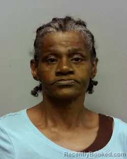 Mugshot of SHARON DENISE PETTY booked in Lake County, Ohio on May 4, 2026