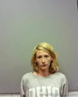 Mugshot of ROBIN LYNN SCHNEIDER booked in Lake County, Ohio on March 22, 2026