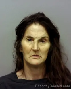 Mugshot of Linda Marie Bakos booked in Lake County, Ohio on October 16, 2026