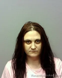 Mugshot of Bryanna Marie Arnold booked in Lake County, Ohio on August 11, 2026