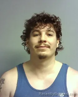 Mugshot of AARON JAMES WALLACE