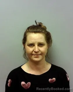 Mugshot of ALEXIS NATALIA VINIS booked in Lake County, Ohio on March 26, 2026