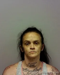 Mugshot of COURTNEY ABRAMS booked in Lake County, Ohio on July 7, 2026