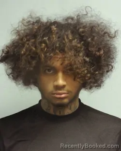 Mugshot of NICHOLAS JADEN GIORDANO