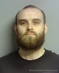 Mugshot of MICHAEL ANTHONY VOILES booked in Lake County, Ohio on March 12, 2026