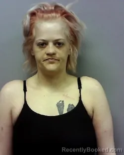 Mugshot of EMILY ANNE WALLACE booked in Lake County, Ohio on March 26, 2026