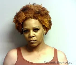Mugshot of QUINCHETTE LAVEY WADE booked in Lake County, Ohio on May 12, 2026