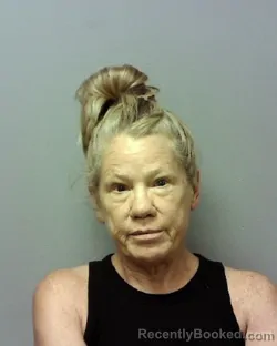 Mugshot of Diane Frances Reynolds booked in Lake County, Ohio on August 18, 2026