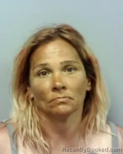 Mugshot of LISA SUE COLLINS booked in Lake County, Ohio on April 16, 2026