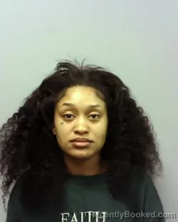 Mugshot of CHEAUNA NICOLE PAGE booked in Lake County, Ohio on March 29, 2026