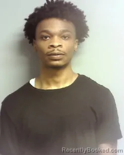 Mugshot of OMERIEN AARAON JOHNSON booked in Lake County, Ohio on March 30, 2026