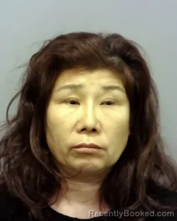 Mugshot of VUJUN DING booked in Lake County, Ohio on May 15, 2026