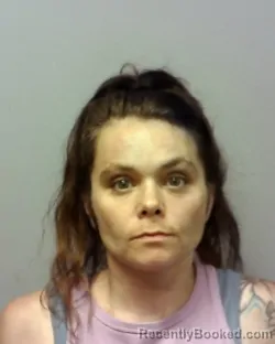 Mugshot of AMANDA MICKAYLA DILLEY booked in Lake County, Ohio on July 13, 2026