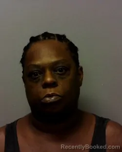 Mugshot of Melissa Sharay Howard booked in Lake County, Ohio on September 3, 2026