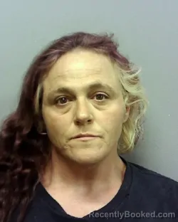 Mugshot of RONDA LEE NEEDS booked in Lake County, Ohio on May 5, 2026