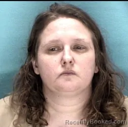 Mugshot of EMILY B RICHARDS booked in Licking County, Ohio on April 17, 2026