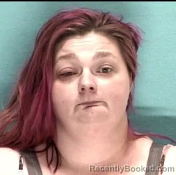 Mugshot of COURTNEY M LEE booked in Licking County, Ohio on April 27, 2026