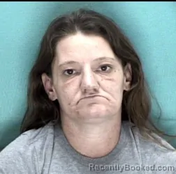 Mugshot of ALRENA L THROESCH booked in Licking County, Ohio on April 28, 2026