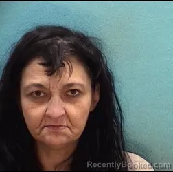 Mugshot of TINA P MCDONALD booked in Licking County, Ohio on April 30, 2026
