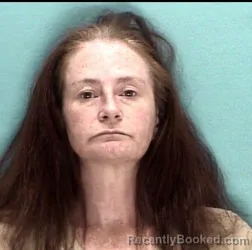 Mugshot of RENEE K ROSE booked in Licking County, Ohio on April 30, 2026
