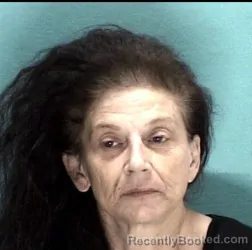 Mugshot of SONYA ANN GIBSON booked in Licking County, Ohio on May 10, 2026
