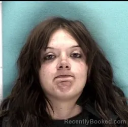 Mugshot of HANNAH E SICKELS booked in Licking County, Ohio on May 16, 2026