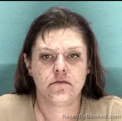 Mugshot of SYDNEY ALEXIS RUSSELL booked in Licking County, Ohio on May 16, 2026