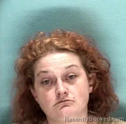 Mugshot of SONYA M MEYERS booked in Licking County, Ohio on May 17, 2026