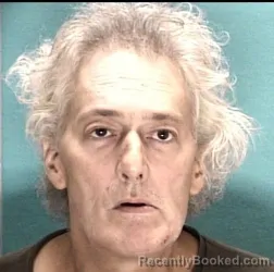 Mugshot of TIMOTHY L WELLS booked in Licking County, Ohio on June 20, 2026