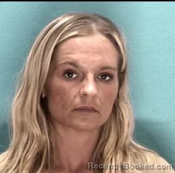 Mugshot of CLARISSA L VANALLEN booked in Licking County, Ohio on July 3, 2026