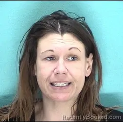 Mugshot of JESSICA E SELLERS booked in Licking County, Ohio on July 4, 2026