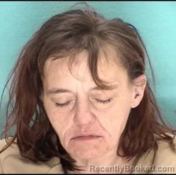 Mugshot of PATRICIA A EDWARDS booked in Licking County, Ohio on July 11, 2026