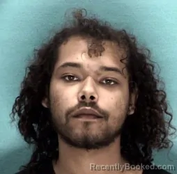 Booking photo from Licking County, Ohio